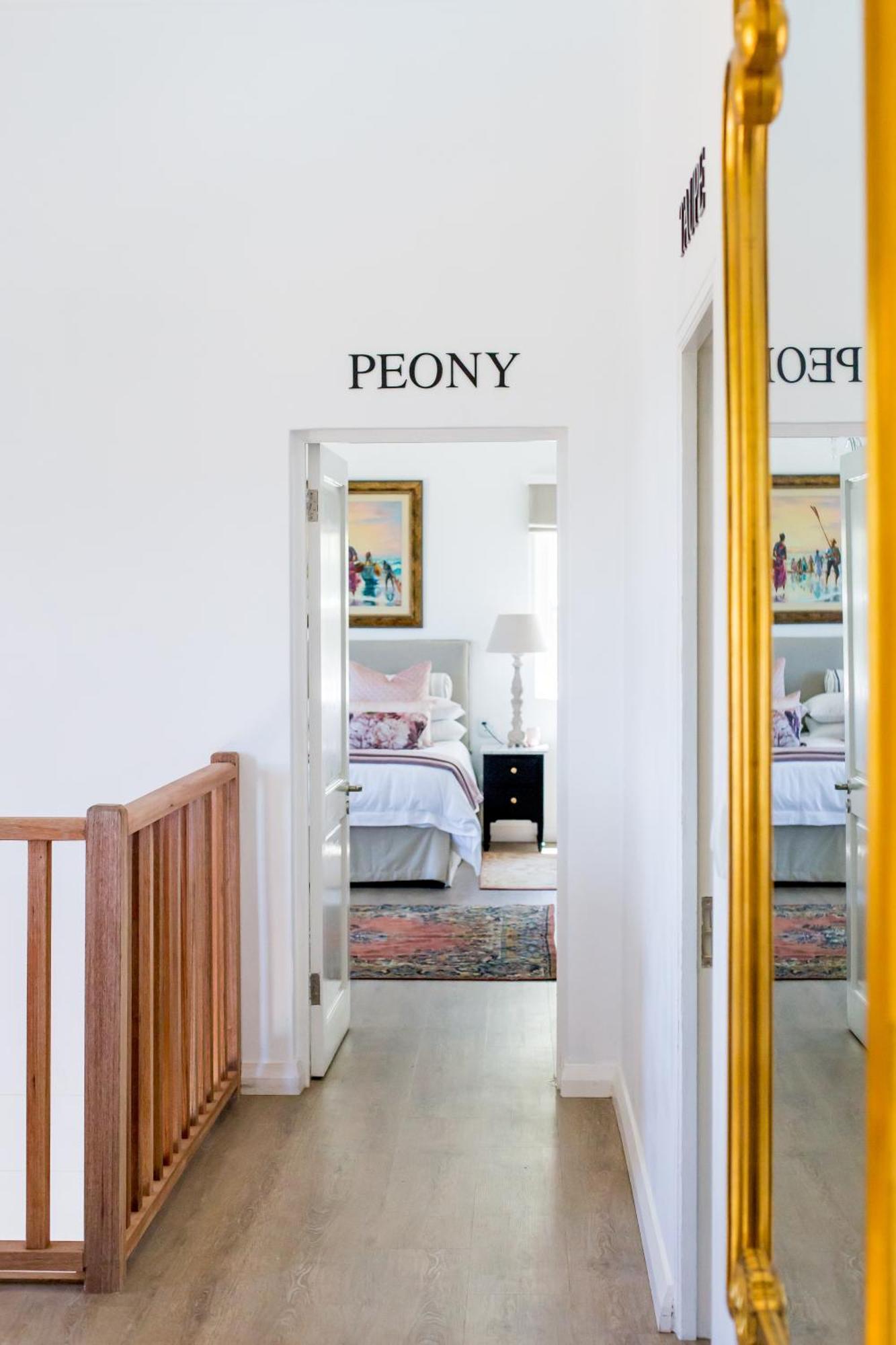 Maison Montagne Franschhoek Kültér fotó