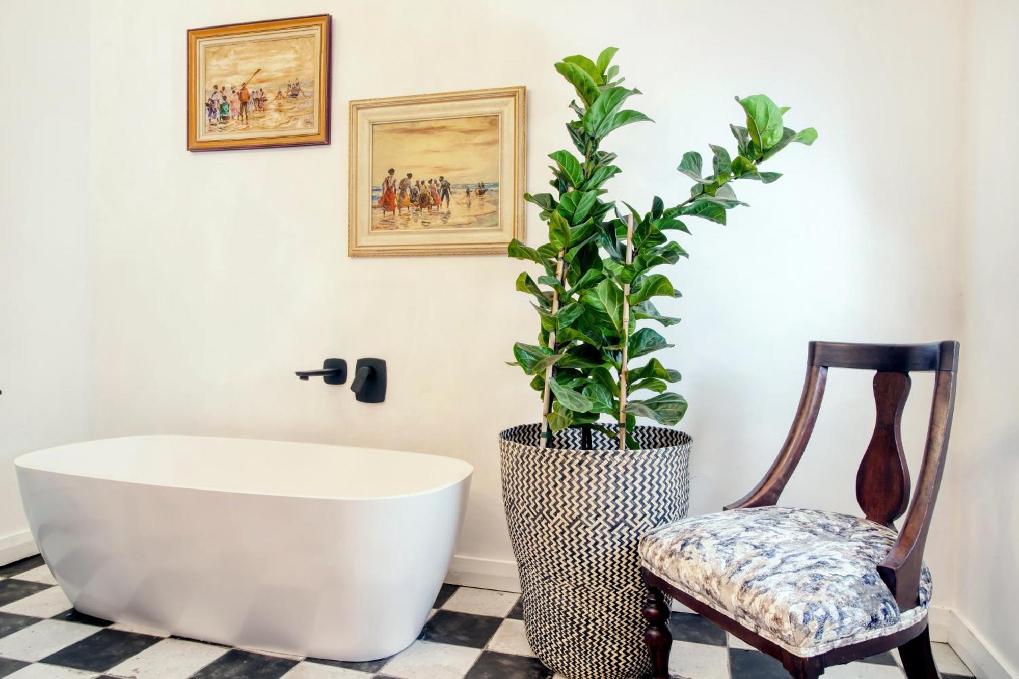 Maison Montagne Franschhoek Kültér fotó