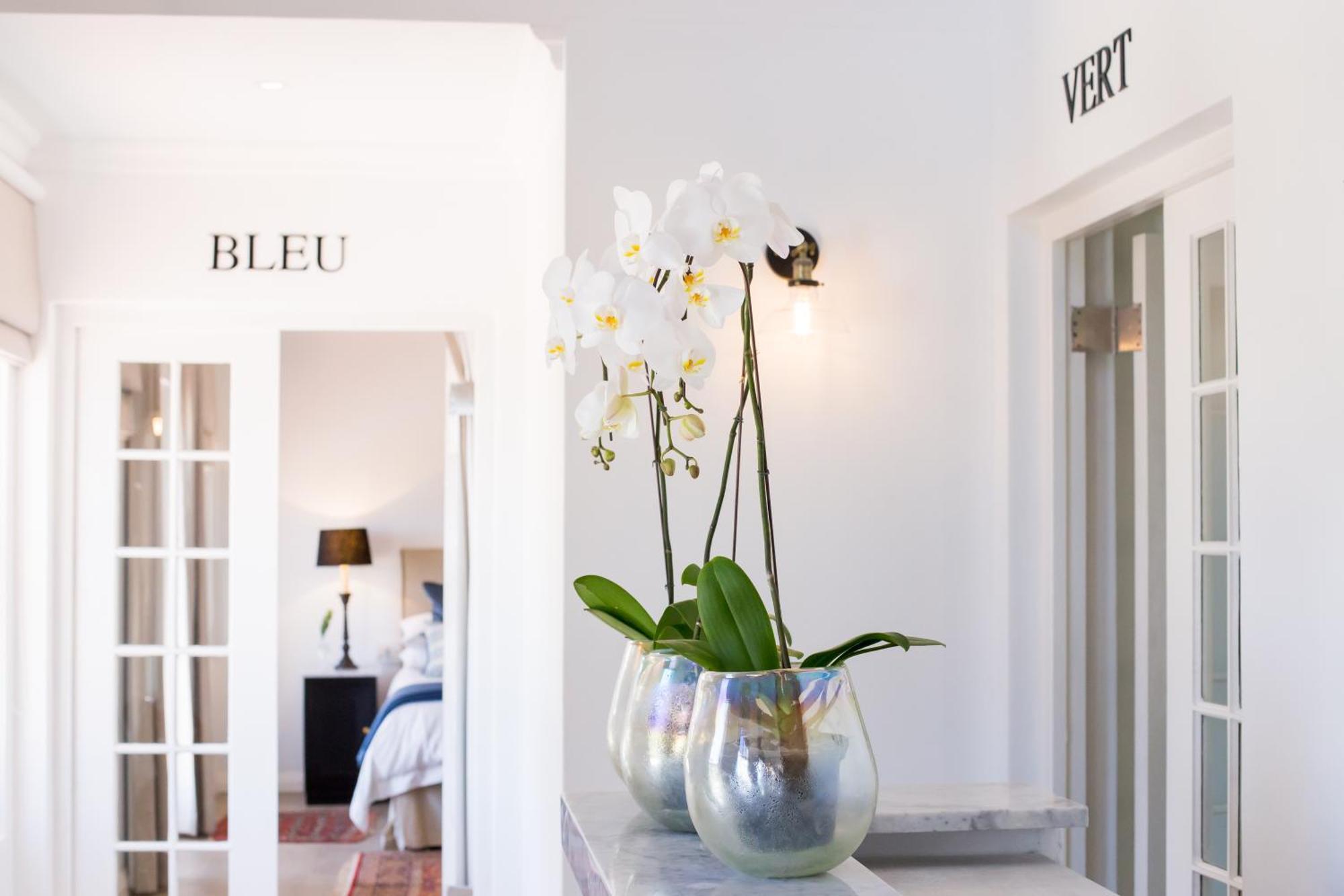 Maison Montagne Franschhoek Kültér fotó