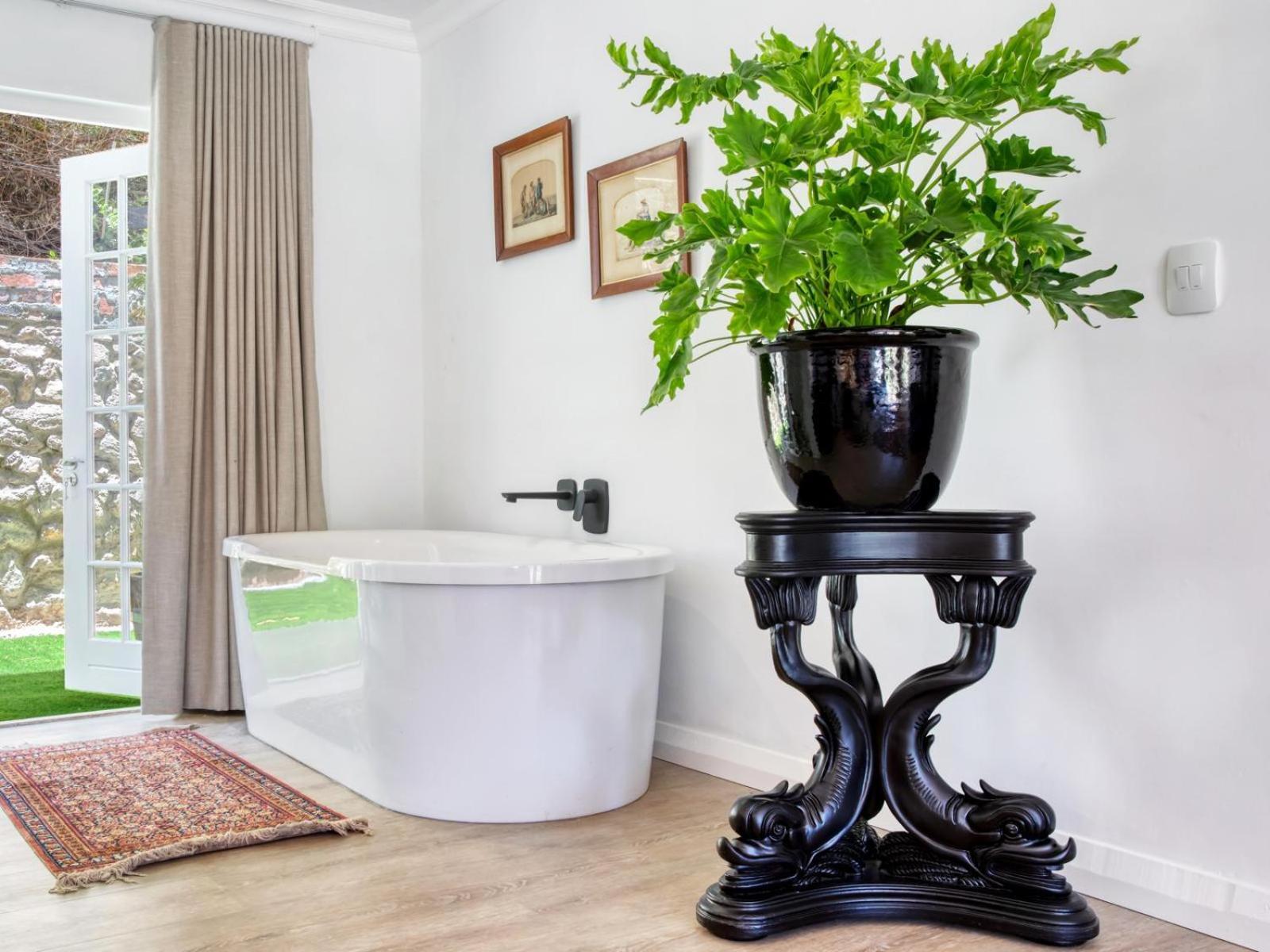 Maison Montagne Franschhoek Kültér fotó
