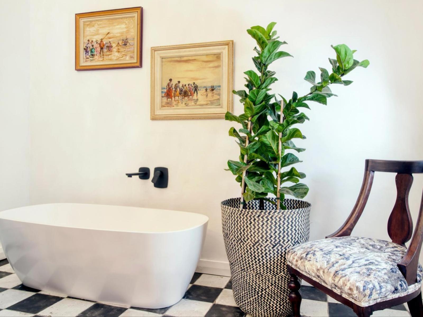 Maison Montagne Franschhoek Kültér fotó